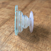 raccoon with dino phone holder